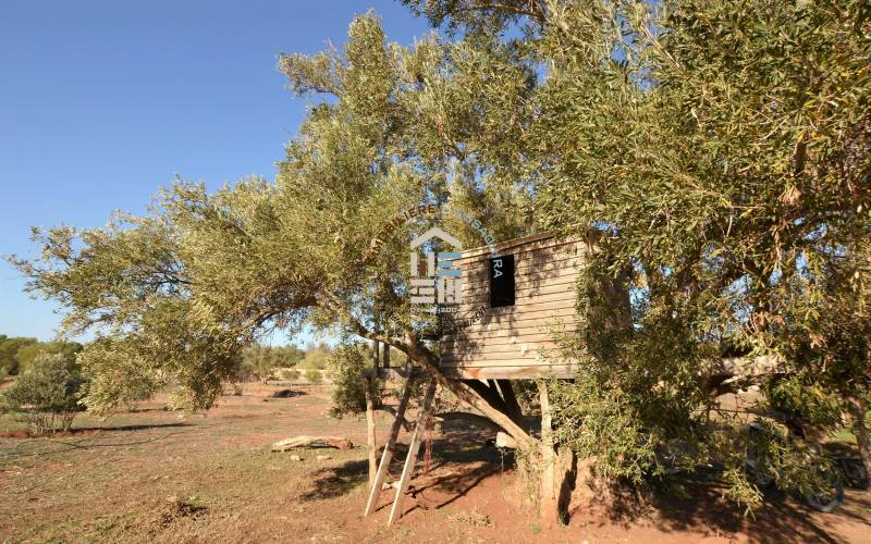 Camping-Caravaning (14)